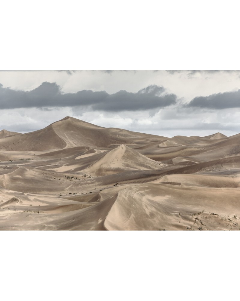 Deserto del Gobi