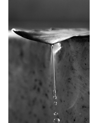 Goccia a Goccia by Alberto Cristofari | Photomakers