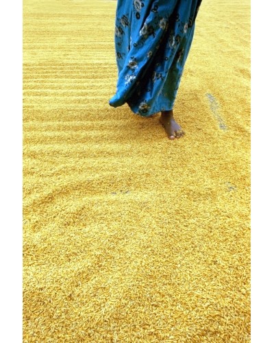 Rice factory in India by Tania | Photomakers
