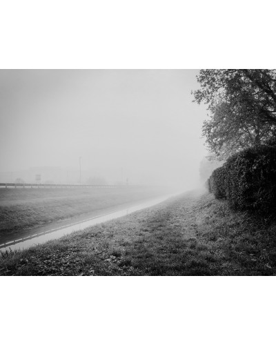 Fog by Mattia Zoppellaro | Photomakers