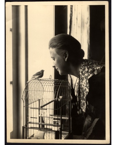 Canary in the wild