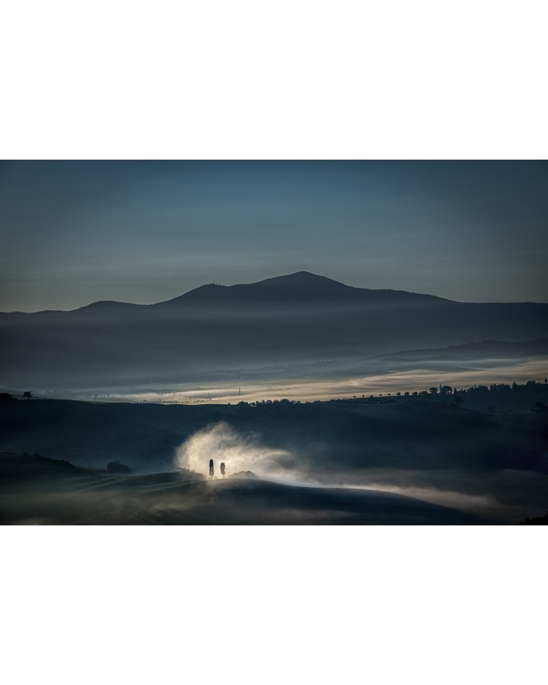 Cypress Dialogue by Alfredo Falvo| Photomakers