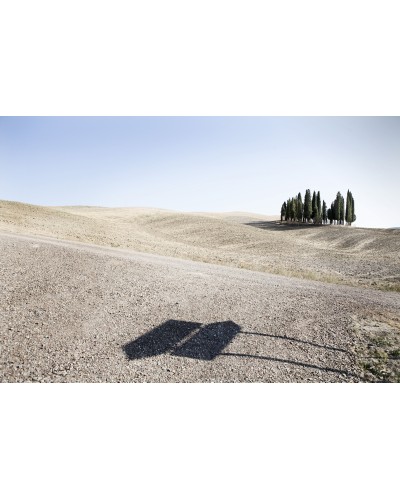 Cypresses by Alfredo Falvo| Photomakers