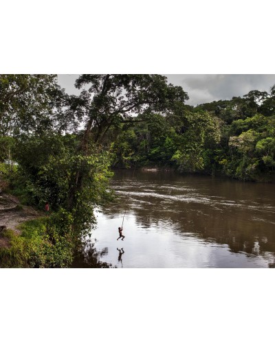 Selva sudamericana