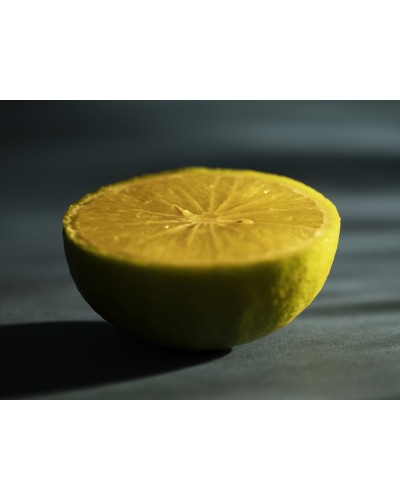 Lemon by Luca Santini | Photomakers