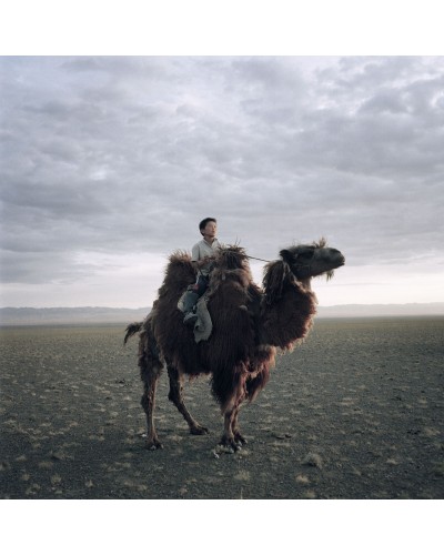Child on camel