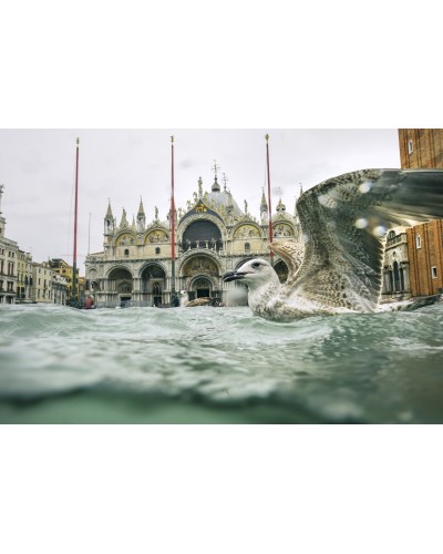 Acqua alta a Venezia