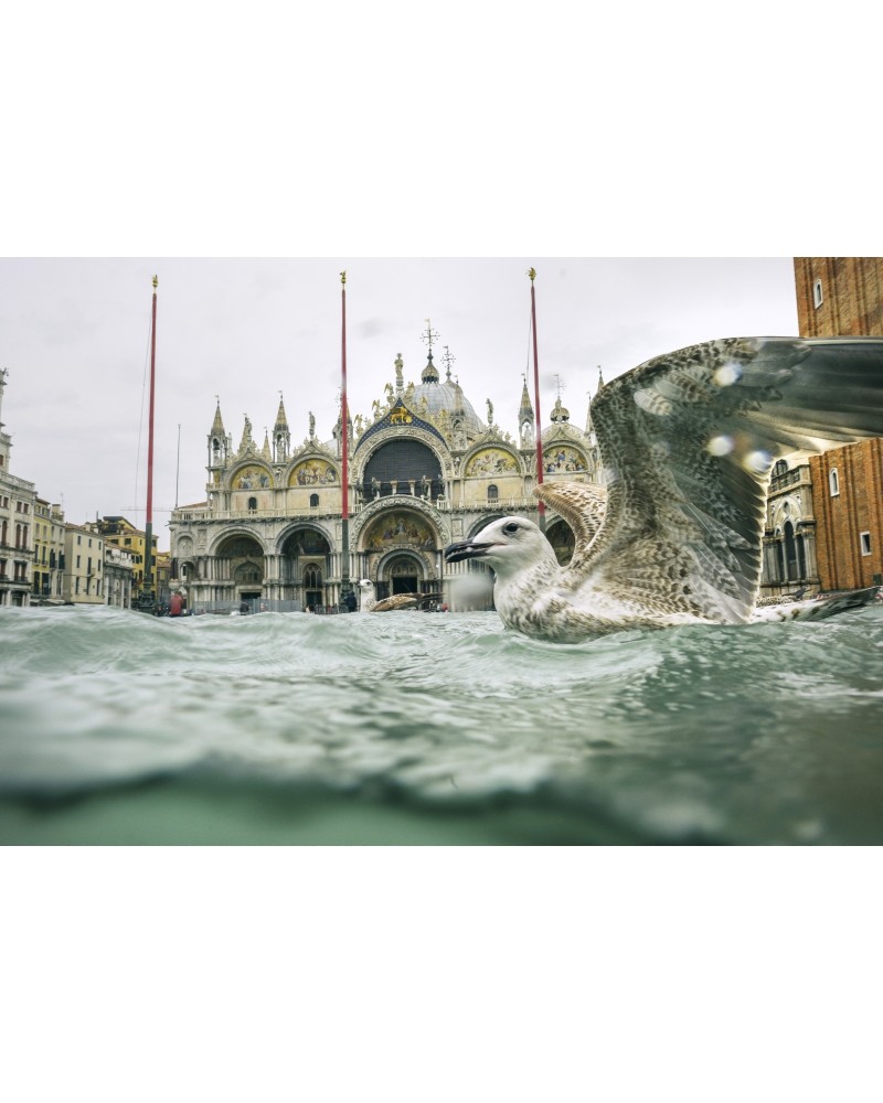 Acqua alta a Venezia