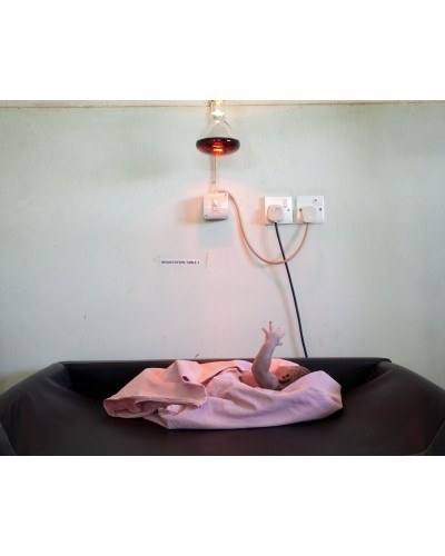 Newborn by Valeria Scrilatti | Photomakers