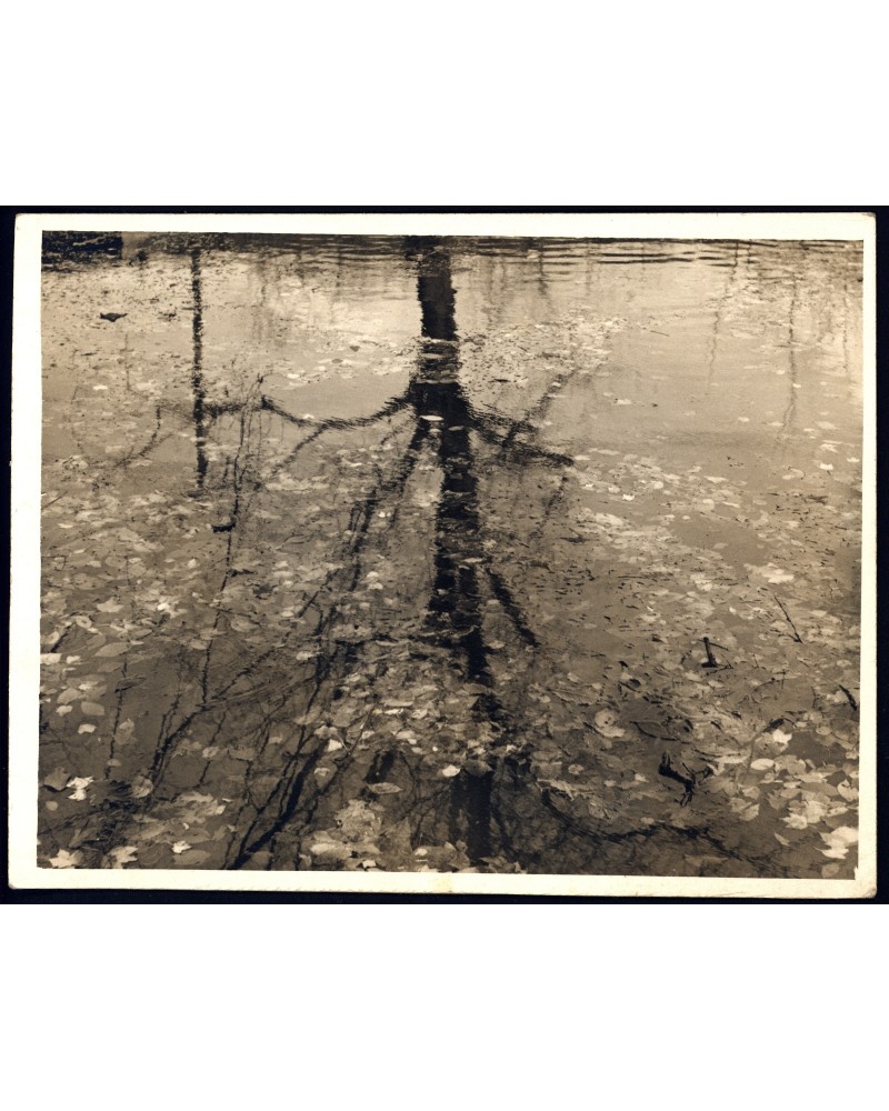 Shadow reflection
