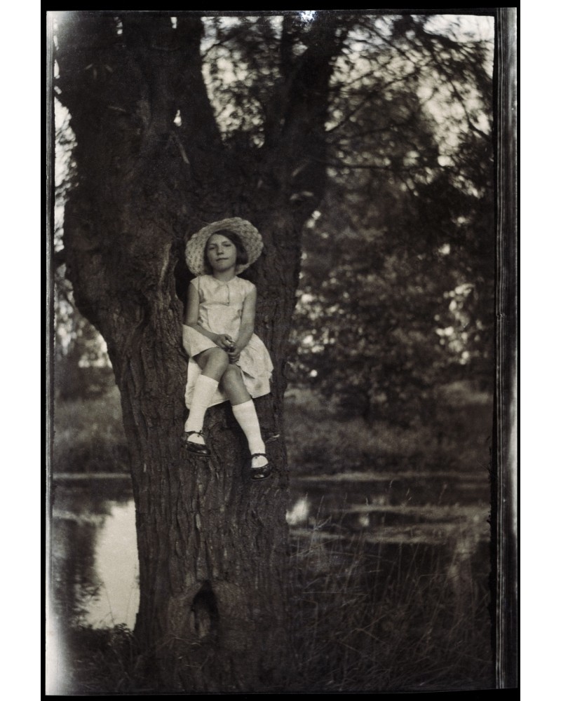 Little girl in the tree
