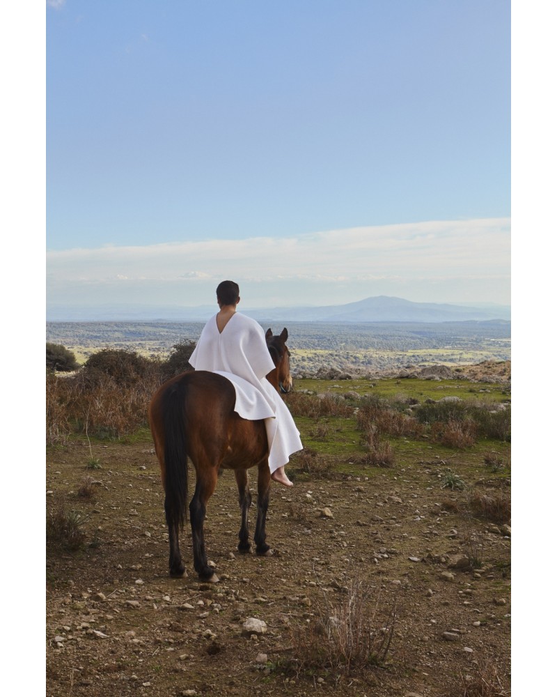 On Horseback by Francesco Brigida | Photomakers
