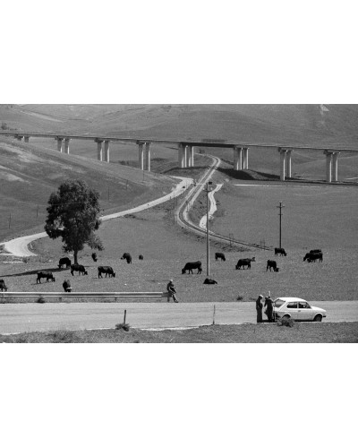 Highway by Fausto Giaccone | Photomakers
