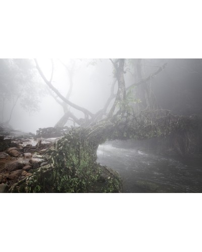 Small bridge by Giulio Di Sturco| Photomakers